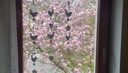 Wohnung im Grünen, Haus Cara, 120m², 4 Zi, Kü, Bad - Foto 4