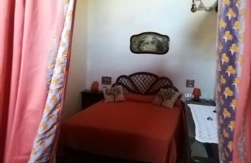 Gerani Rossi - Foto 10