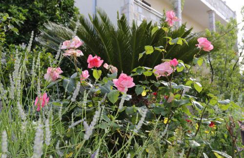 Apartments by the sea Viganj, Peljesac - 10116 - Foto 11