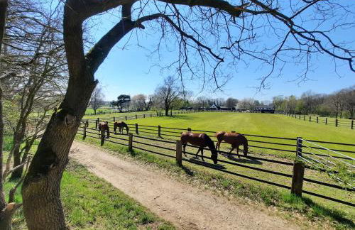 Ferienhaus am See Goch Kessel - Foto 40