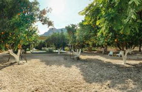 La Joya del Valle de Ricote - Foto 20