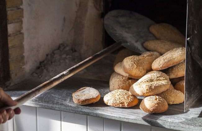 Fontes Episcopi - Foto 62