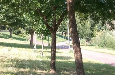 Salgueiral Guest House Douro - Foto 61