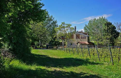 Domus Cariana - Foto 14