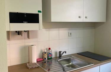 Appartement 1 - Einzimmerwohnung mit Küche und Bad - Foto 6