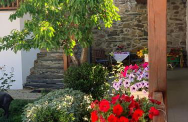 Solar de Rabal - Foto 6