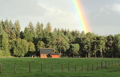 Norwegian Log Cabin The Roe Deer -sauna & hot tub - Foto 11
