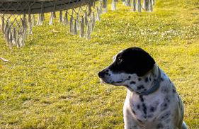 Villa del Jerte - Foto 44