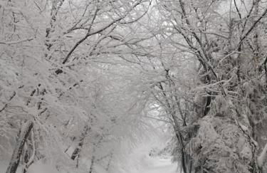 L'Amphithéâtre des Volcans - Vue Puy de Dôme - Foto 29