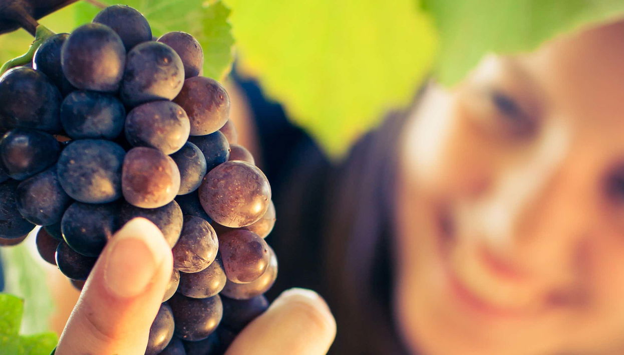 Visita a Quinta Sardonia