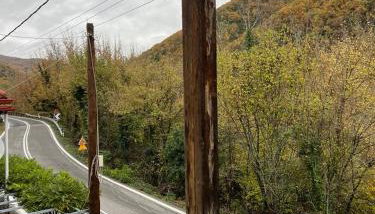 Forest view Aggeliki - Foto 4