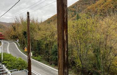 Forest view Aggeliki - Foto 4