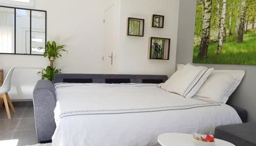 Super Studio cosy - a 10 min de CDG aéroport - a 30 min de Paris - a 10 min du salon d'expo Villepinte - Foto 5