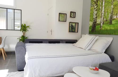 Super Studio cosy - a 10 min de CDG aéroport - a 30 min de Paris - a 10 min du salon d'expo Villepinte - Foto 5