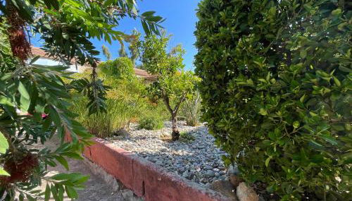 Le Râteau Bavoir - Foto 4, Garden, Garden view