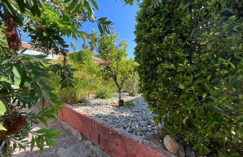 Le Râteau Bavoir - Foto 4