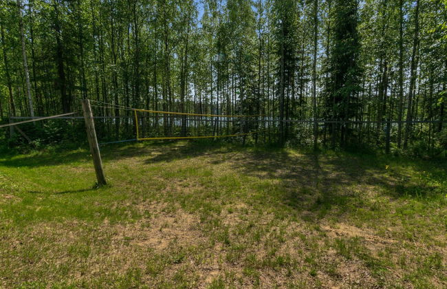 Koivuniemen rouva - Foto 28