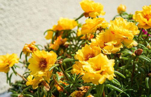 SP-Appartements - Foto 12