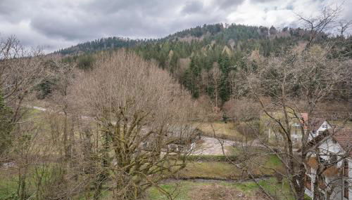 Kuckucksnest - Foto 5