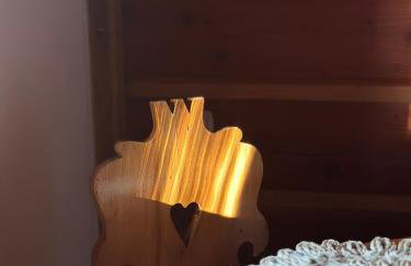 BUKOWA Jezioro Żywieckie Beskid Żywiecki Śląski Sauna Jacuzzi Kominek Morsowanie Tresna Żywiec Szczyrk - Foto 18