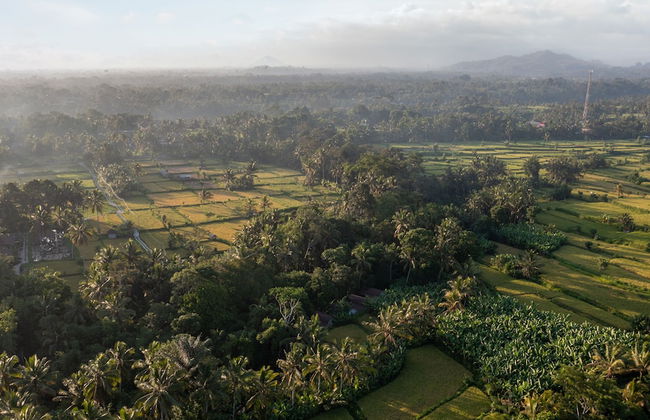 Sacred Canyon Ubud by GenuineHost - Foto 49