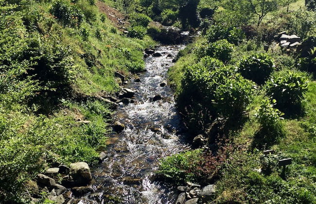 Casona de Labrada - Foto 68