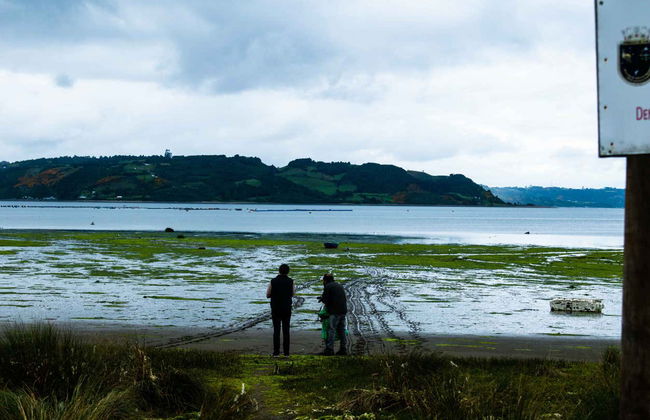 Balade à vélo électrique depuis Castro - Photo 6