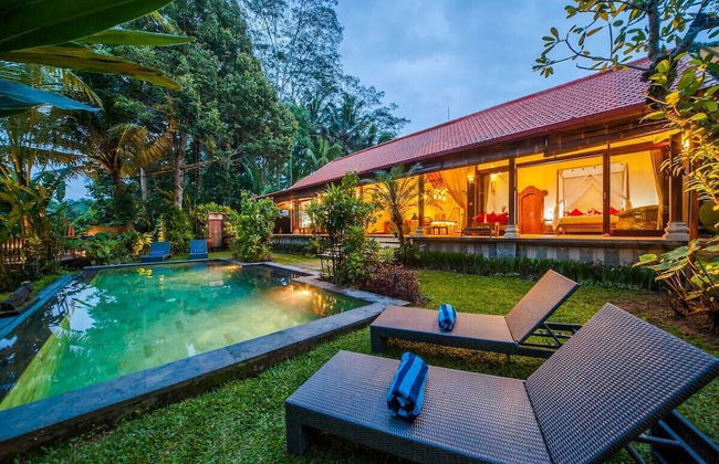 Infinity Jungle View Aashaya Villa Ubud - Photo 32