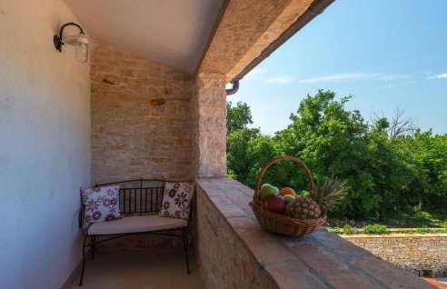 Villa Milica for 6 people in central Istria - pet friendly eco house with private pool - Foto 38