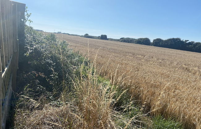 Beautiful 1-bed Studio in Porthcawl Near Beach - Foto 14