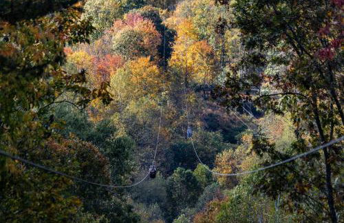 Beauty Mountain Hideaway - Secluded - New River Gorge National Park - Foto 80