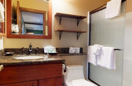 Forest Creek 28 Rustic Updated Condo - Photo 17