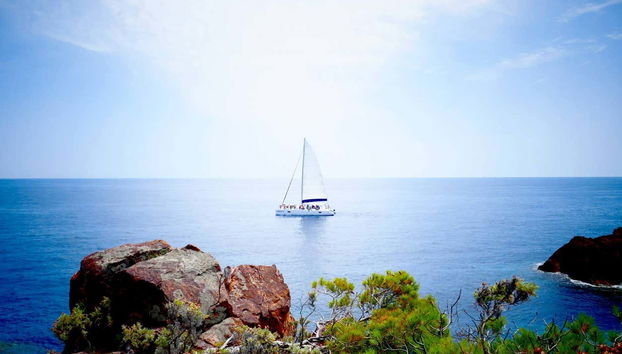 Excursión a Cala Blanca en catamarán - Photo 2
