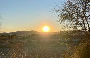 Masía entre viñedos y mar - Foto 38