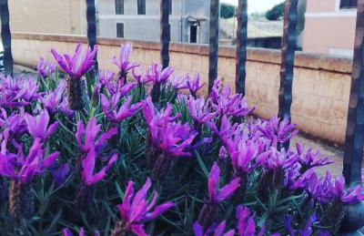 Il Palazzetto sulla Francigena - Photo 61