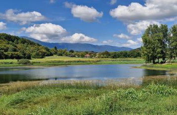 Haus Martha - Foto 6