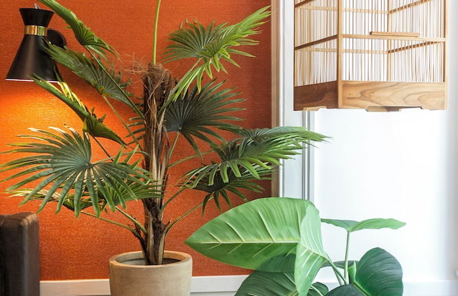 Olivier Design Apartments - Downtown Lisbon - Foto 54