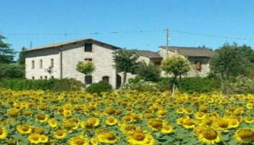 Agriturismo"Il Sagrato di Assisi" appartamenti,camere - Foto 1