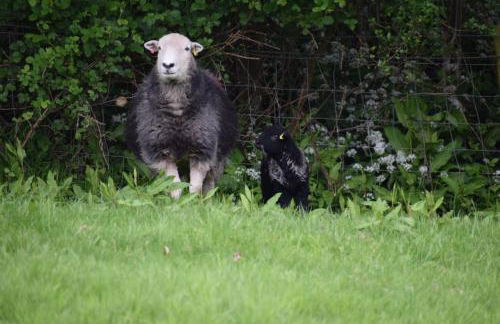 Pumping Station Holidays - Foto 60