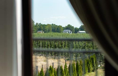 Uroczysko nad Pilicą Sauna & Balia - Foto 44