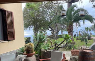 Bouganville in Villa Greco - Foto 25