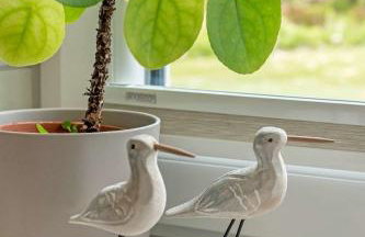 Knusthof Lafrenz - Nordwest - Photo 9