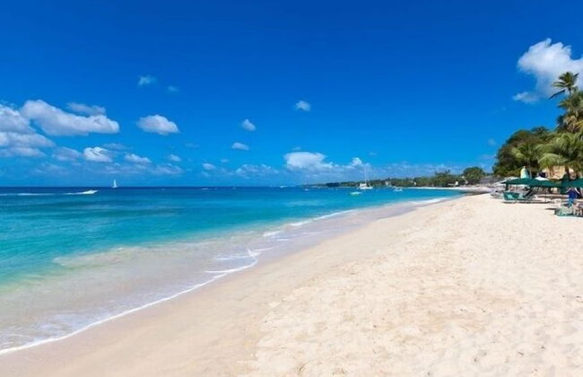 Lantana by Bluescape - Foto 43