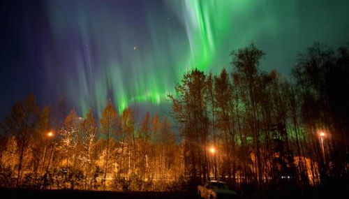 Tiny Home at Bear Mountain -Only 25 Min from Anchorage, Great Central location-Cute & Comfortable - Photo 5