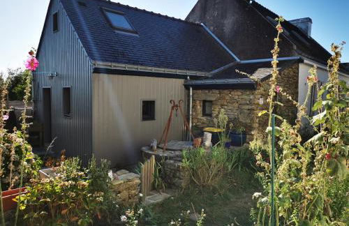 Chouk-Ezaï côte sauvage de l'île - Photo 15