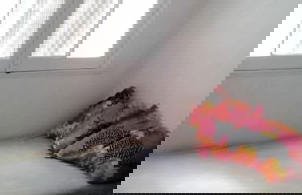 Lindas Casas para grupos y familias - Foto 54