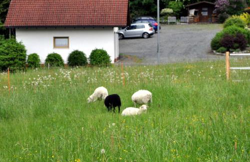 Ferienhaus Müller - Foto 13