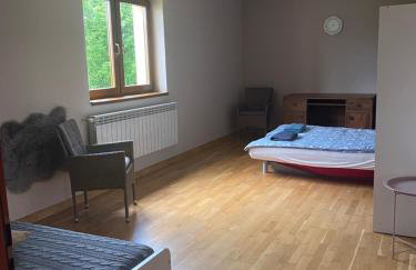 Apartament w górach Gorce - Foto 17