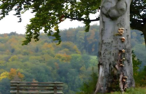 Finnhütte Hohe Klinge Trusetal - Photo 27