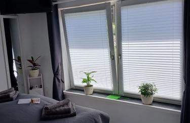 Chillkröte - Foto 56